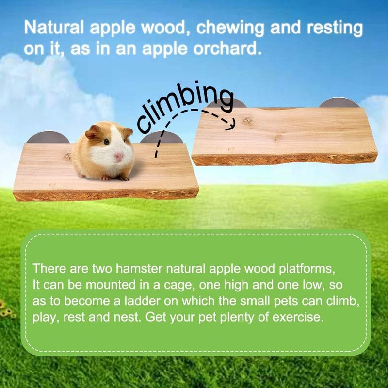 Hamiledyi 2Pcs Hamster Ledges Wooden Platform Rat Climb Platform Shelf Bird Perch Stand Toys Cage Accessories for Rat Squirrel Gerbil Suger Glider 2.6" X 5.9" - Image 4